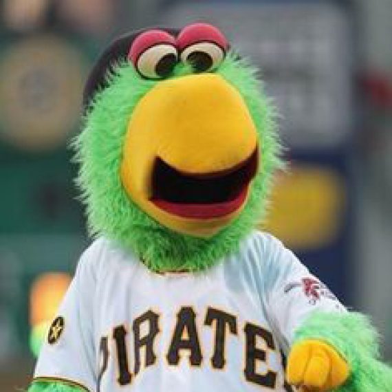 Pirate-Parrot-PIttsburgh-Pirates-570x823